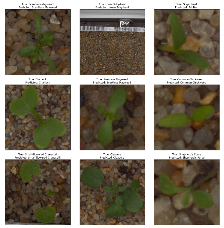Multiclass classifier
